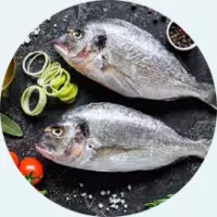 SEA BREAM ( DORADA ,KGR)